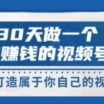 30天做一个能赚钱的视频号，从0-1打造属于你自己的视频号 (14节-价值199)