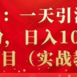 祖小来：一天引流100 宝妈粉，日入1000 的蓝海项目（实战教程）