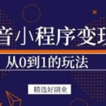 抖音小程序一个能日入300 的副业项目，变现、起号、素材、剪辑