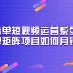 矩阵书单短视频运营系列课程，看书单矩阵项目如何月销百万（20节视频课）