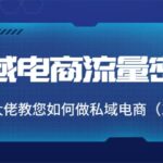 私域电商流量密码：千万级大佬教您如何做私域电商（12节课）