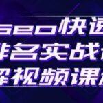 seo快速排名实战讲解视频课程，揭秘seo快排原理