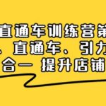 搜索直通车训练营第2期：搜索、直通车、引力魔方三维合一 提升店铺业绩