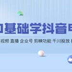 0基础学抖音电商【更新】短视频 直播 企业号 剪映功能 千川投放 抖音小店等