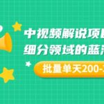 某付费文章：中视频解说项目复盘：细分领域的蓝海行业 批量单天200-300收益