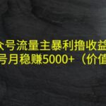 公众号流量主暴利撸收益项目，单人单号月稳赚5000 （价值480元）