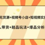 抖店无货源 视频号小店 短视频实操课：达人带货 翘品玩法 爆品分析等