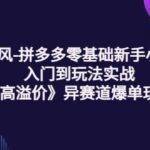 拼多多零基础新手小白入门到玩法实战《高溢价》异赛道爆单玩法实操课