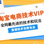 淘宝电商技术VIP，全网最先进的技术和玩法，靠谱技术包教包会，价值1599元