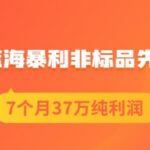 盗坤淘宝蓝海暴利非标品先品思路，7个月37万纯利润，压箱干货分享！【付费文章】