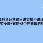 从0-1抖音运营课只讲实操不讲理论：21节实操课 案例 5个在能做的项目