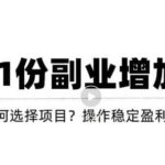 新手如何通过操作副业增加收入，从项目选择到玩法分享！【视频教程】