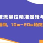 新号破流量拉精准逻辑与方法，引爆直播间，10w-20w场观正价玩法