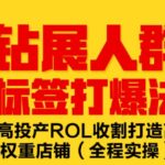 钻展人群标签打爆法，高投产ROL收割打造高权重店铺(全程实操)