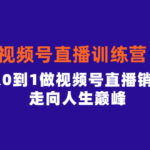 视频号直播训练营，素人从0到1做视频号直播销量百万，走向人生巅峰