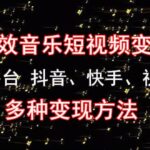 《粒子特效音乐短视频变现项目》主攻平台 抖音、快手、视频号 多种变现方法