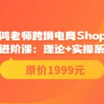 小鸿老师跨境电商Shopee入门课 进阶课：理论 实操系统化教学（原价1999）