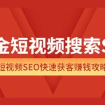 掘金短视频搜索SEO，短视频SEO快速获客赚钱攻略（价值980）