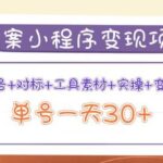 毒案小程序变现项目：养号 对标 工具素材 实操 变现