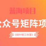 倪叶明·蓝海公众号矩阵项目训练营，0粉冷启动，公众号矩阵账号粉丝突破30w