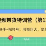 短视频带货特训营（第12期）抖音 快手 视频号