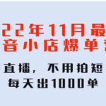 2022年11月最新抖音小店爆单训练营：无需直播，不用拍短视频，每天出1000单