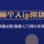 短视频个人ip带货变现：爆款文案/流量运营/直播入门/镜头变现/流量商业