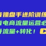 抖音操盘手进阶训练课：抖音电商流量运营必学，提升流量 转化