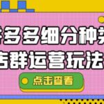 拼多多细分种类店群运营玩法3.0，11月最新玩法，小白也可以操作