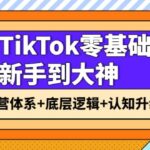 TikTok零基础新手到大神：运营体系 底层逻辑 认知升级（9节系列课）