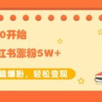 生财小红书涨粉变现：新账号从0开始3个月小红书涨粉5W 实现单篇爆粉