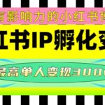 某收费培训-小红书IP孵化变现：做有影响力的小红书博主