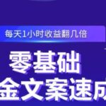 零基础吸金文案速成，每天1小时收益翻几倍价值499元