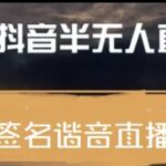 最近火爆的抖音头像签名设计半无人直播直播项目：直播教程 素材 直播话术