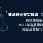 亚马逊运营实操课（每周更新）包括亚马逊2022选品策略解析，综合运营技巧等