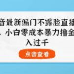 抖音最新偏门不露脸直播项目，小白零成本暴力撸金日入1000