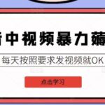 2022抖音中视频暴力薅羊毛白嫖项目：新号每天20块，老号几天几百块，可多号