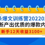 头条爆文训练营202202期，不断产出优质的爆款内容