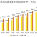 蓝海项目拼多多视频带货课，2022年入百万新风口【视频教程 软件】