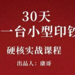 康哥30天打造一台小型印钞机：躺赚30万的项目完整复盘（视频教程）