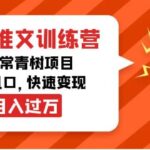 小说推文训练营，万年常青树项目，抓住风口