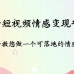 抖音短视频情感变现项目：手把手教您做一个可落地的情感账号