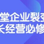 张琦《盈利增长17堂必修课》企业裂变增长的经营智慧，带你了解增长的本质