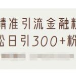 1套精准引流金融粉方法，轻松日引300 粉丝【视频课程】