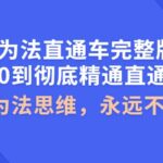 无为法直通车完整版：从0到彻底精通直通车，用无为法思维，永远不会亏损