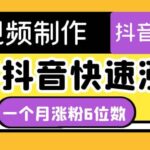 短视频油管动画-快手抖音快速涨粉：一个月粉丝突破6位数 轻松实现经济自由