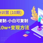 小红书特训营（第10期）低门槛-可复制-小白可复制