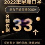 2022年全新口子，手机批量搬砖玩法，一部手机日撸2000