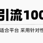 只需要做好这几步，就能让你每天轻松获得100 精准粉丝的方法！【视频教程】