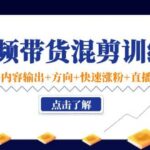 短视频带货混剪训练营：底层逻辑 内容输出 方向 快速涨粉 直播方法！